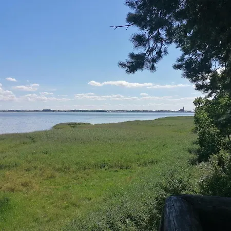 Mandelbaeumchen Barth