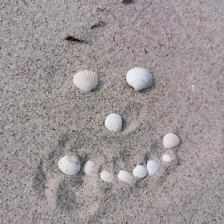 Semesterbostad Mandelbaeumchen Barth